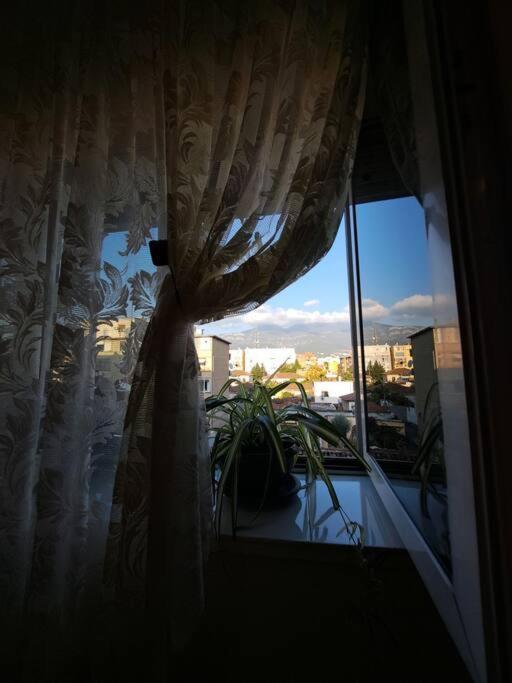 Quiet, Cozy, Luminous Apartment Tirana Exteriér fotografie