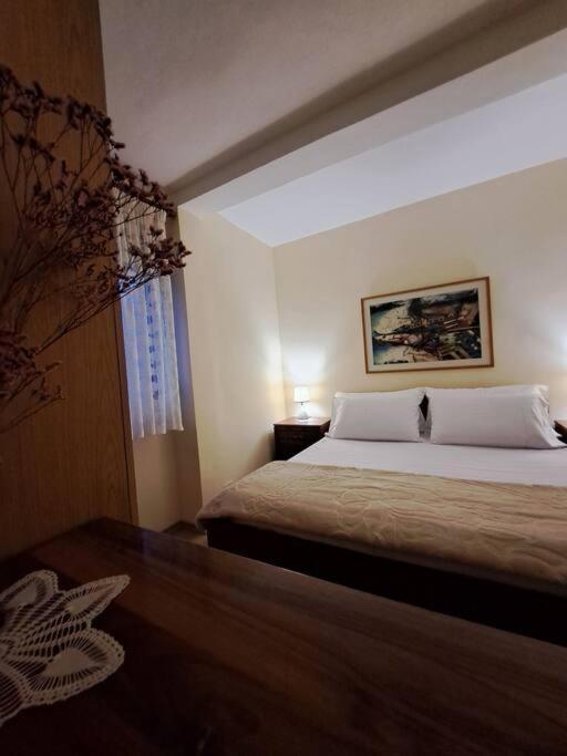 Quiet, Cozy, Luminous Apartment Tirana Exteriér fotografie
